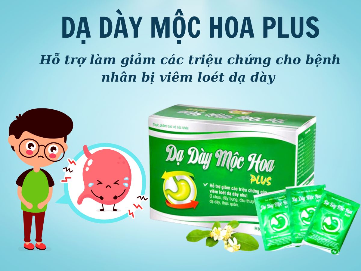 Dạ Dày Mộc Hoa Plus 13 Dạ Dày Mộc Hoa Plus có công dụng gì?