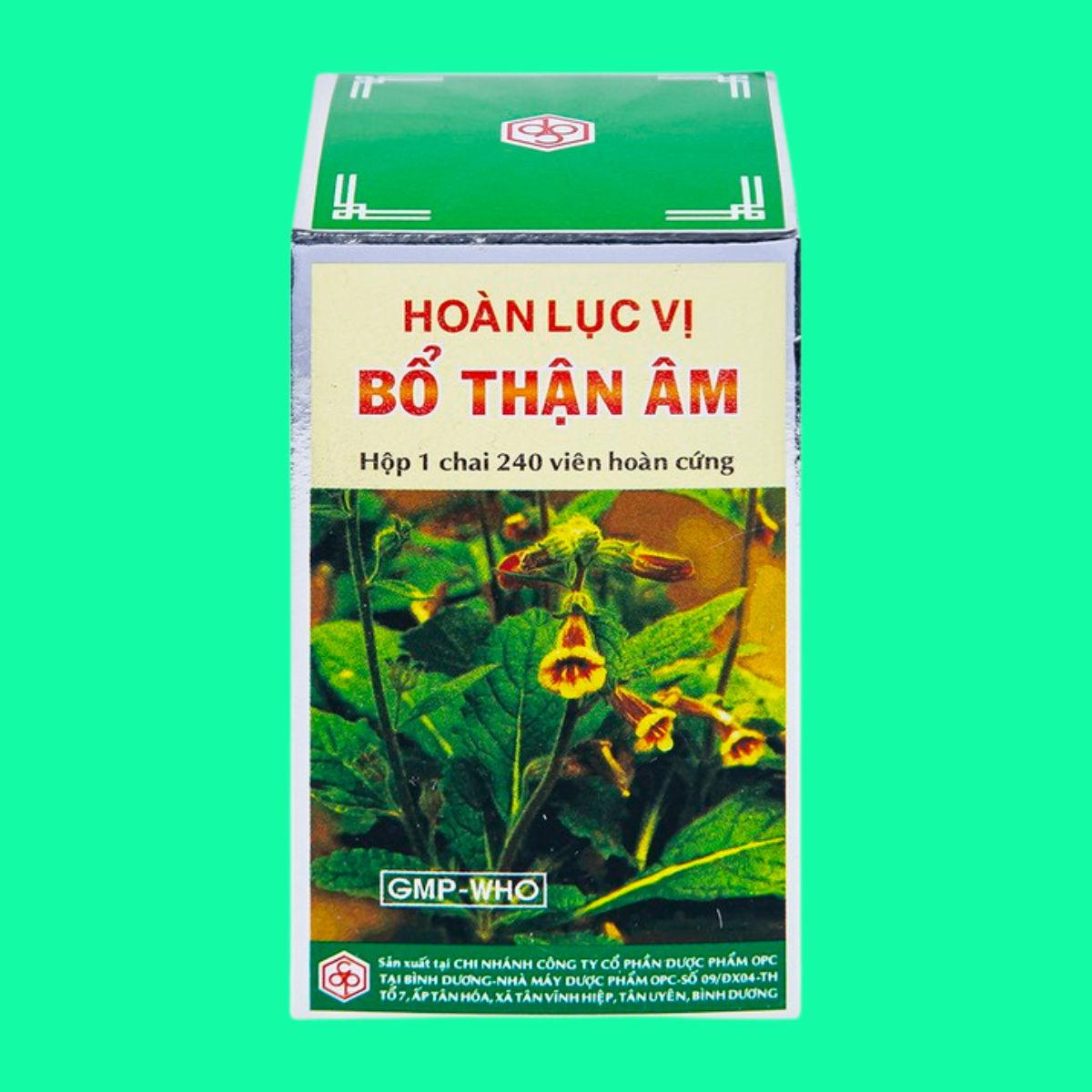 Hoàn Lục Vị Bổ Thận Âm (13) Hoàn Lục Vị Bổ Thận Âm
