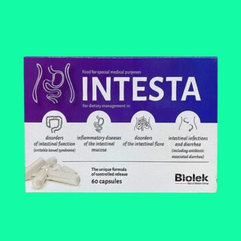 Intesta