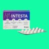 Intesta