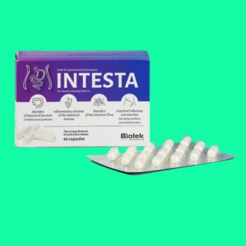 Intesta