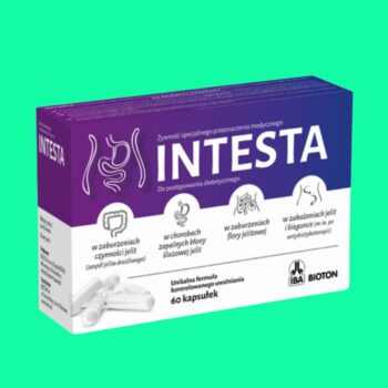 Intesta