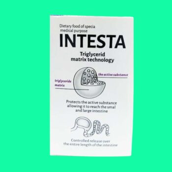 Intesta