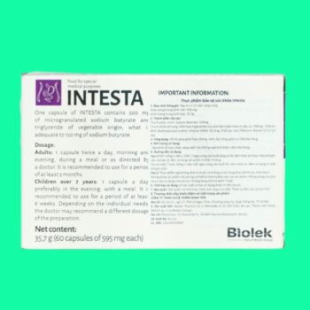 Intesta