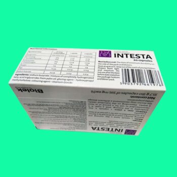 Intesta