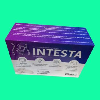Intesta
