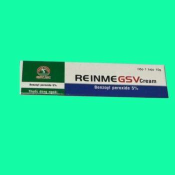 ReinmeGSV