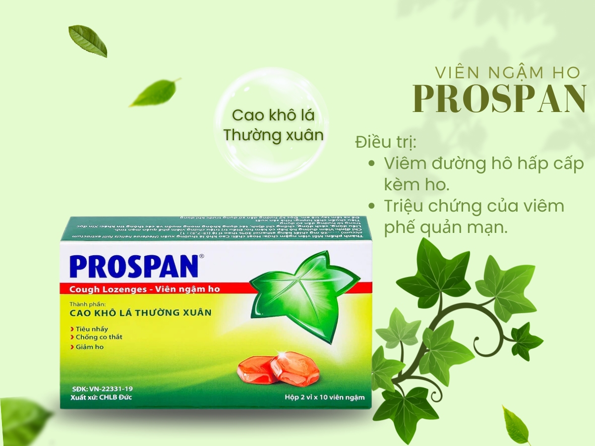 Viên ngậm ho Prospan 14 Viên ngậm ho Prospan bào chế từ cao khô lá Thường xuân