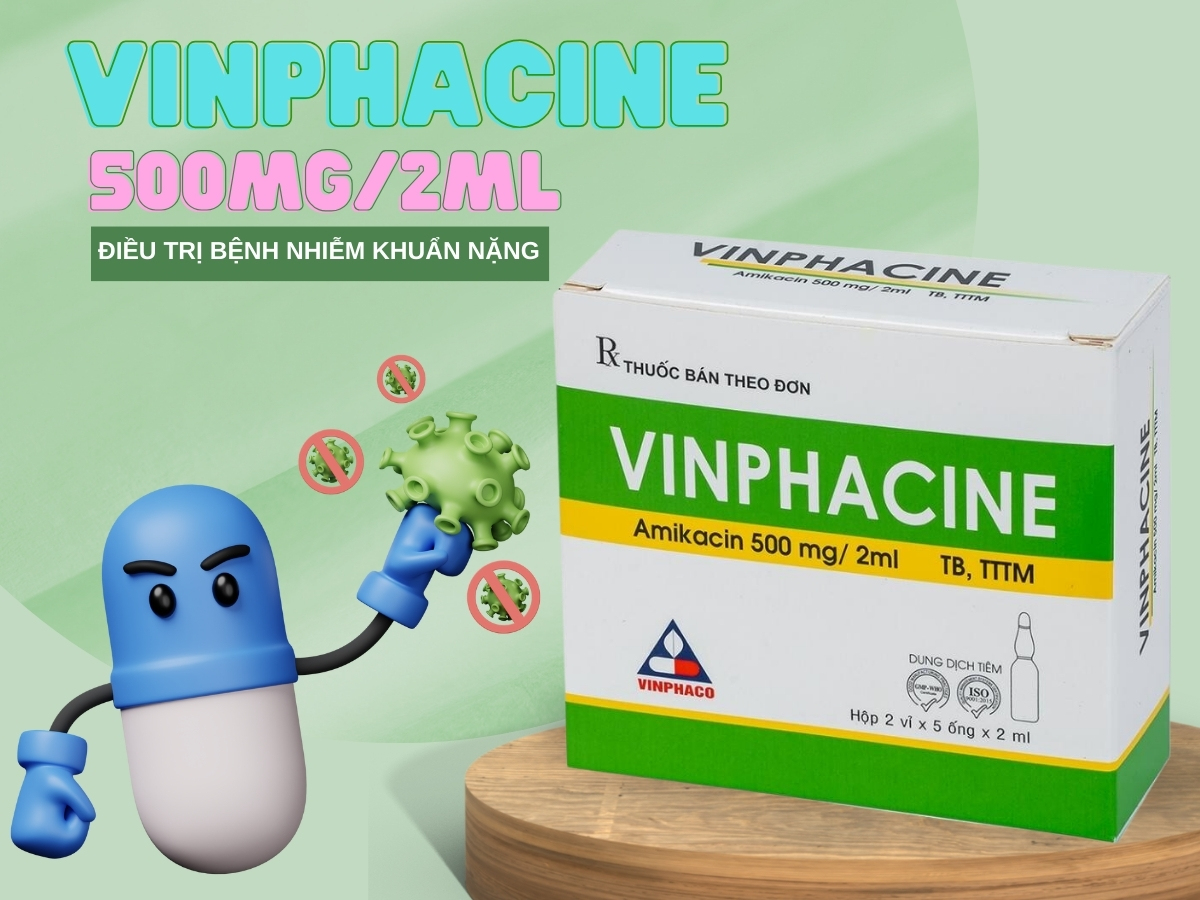 Thuốc Vinphacine 500mg/2ml điều trị nhiễm khuẩn nặng