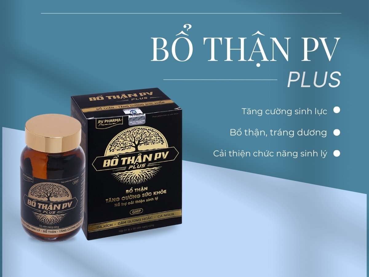Bổ Thận PV Plus