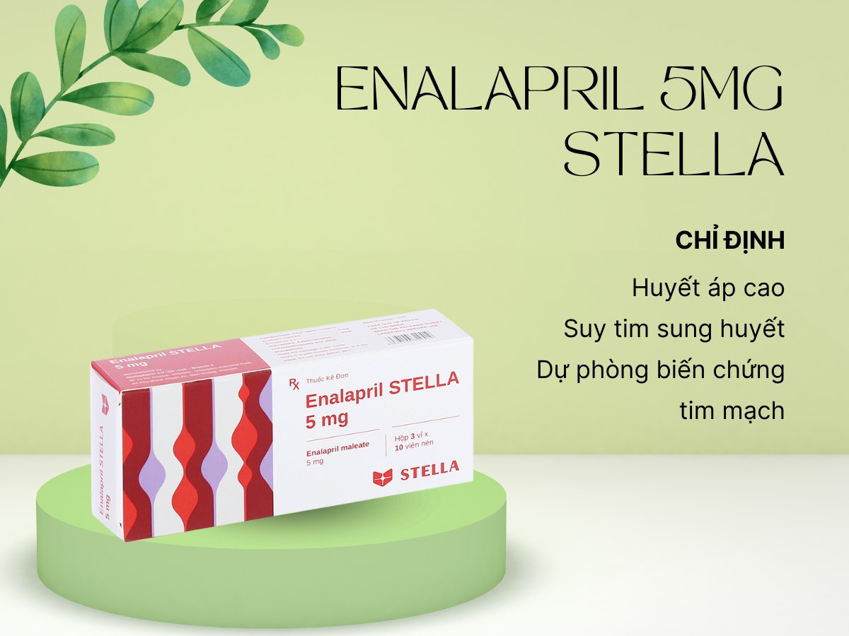 Thuốc Enalapril Stella 5mg
