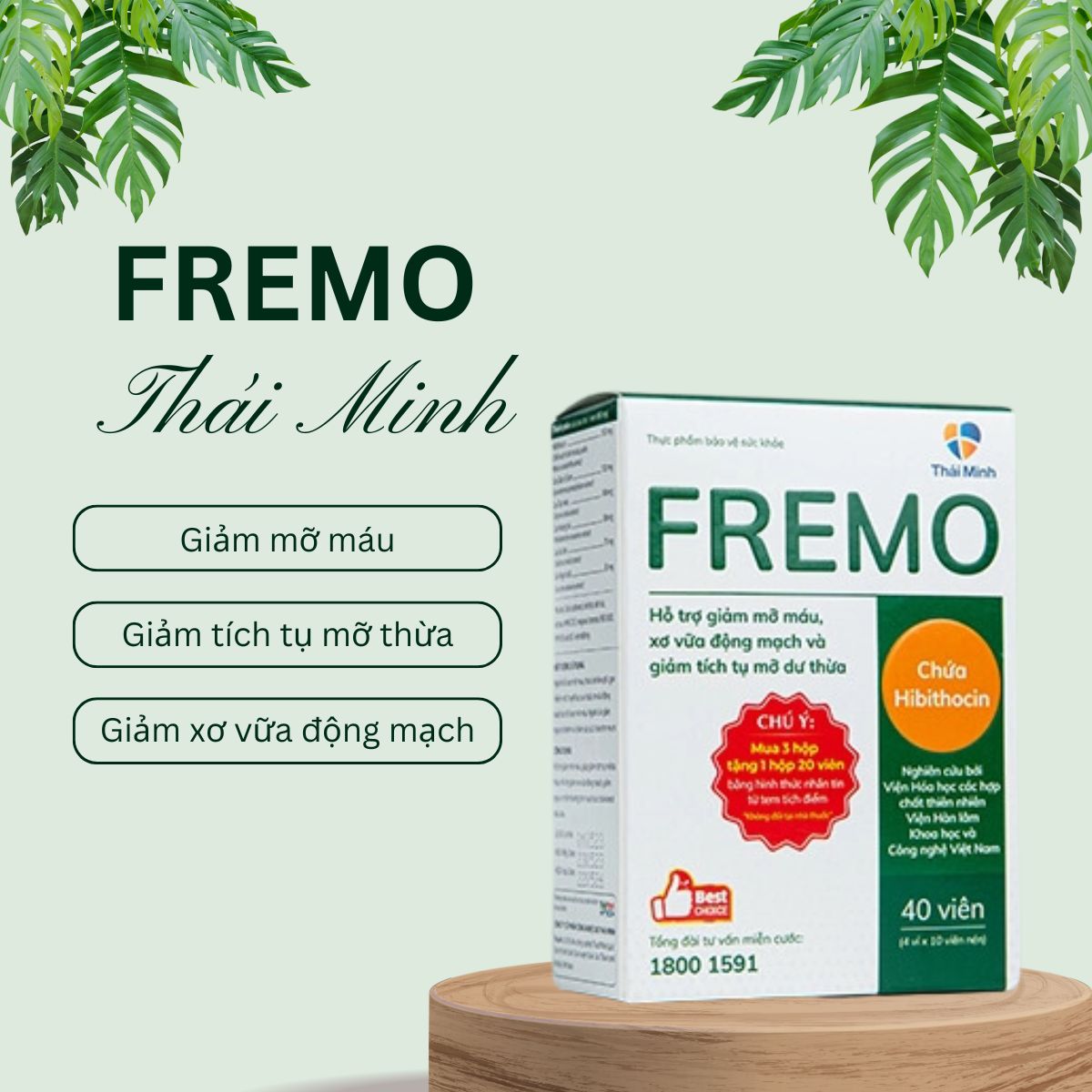Fremo Thái Minh