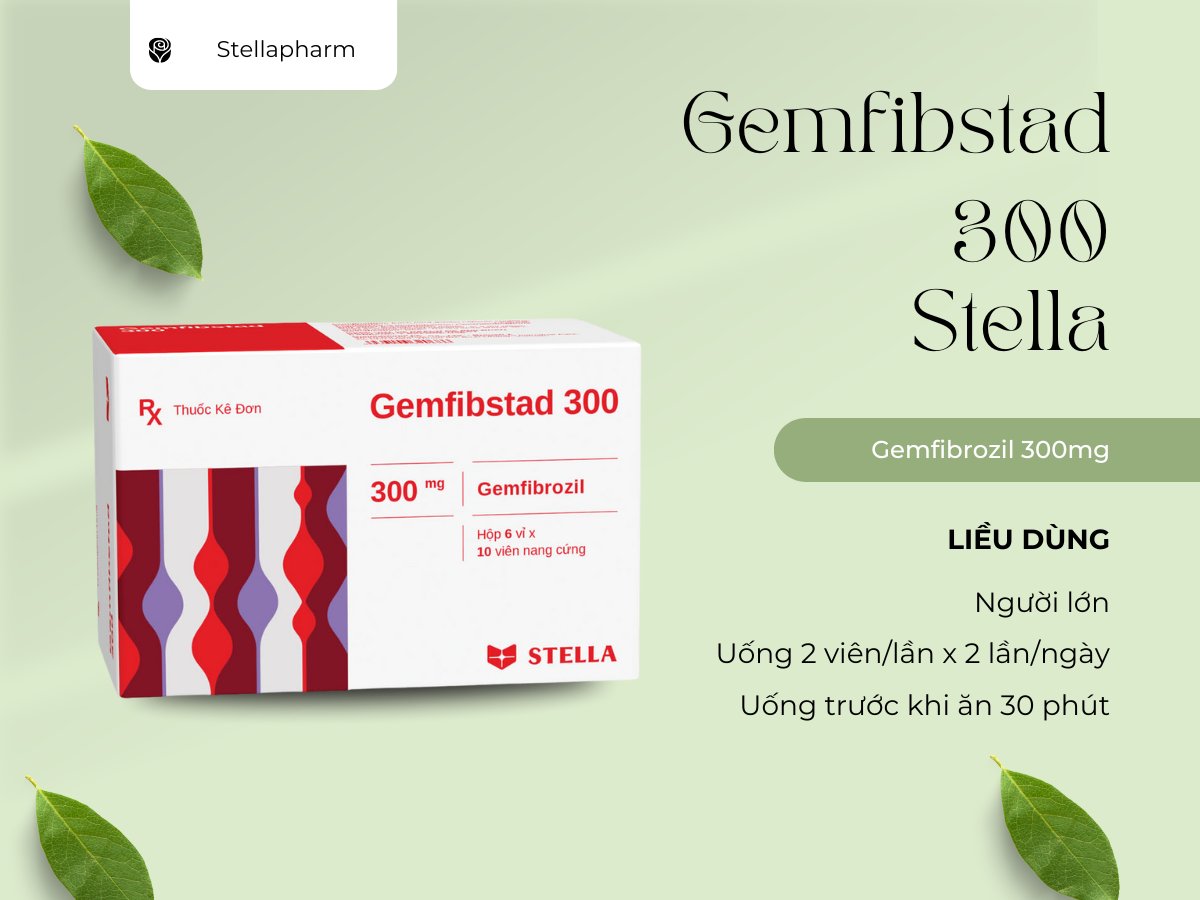 Gemfibstad 300 6 Thuốc Gemfibstad 300
