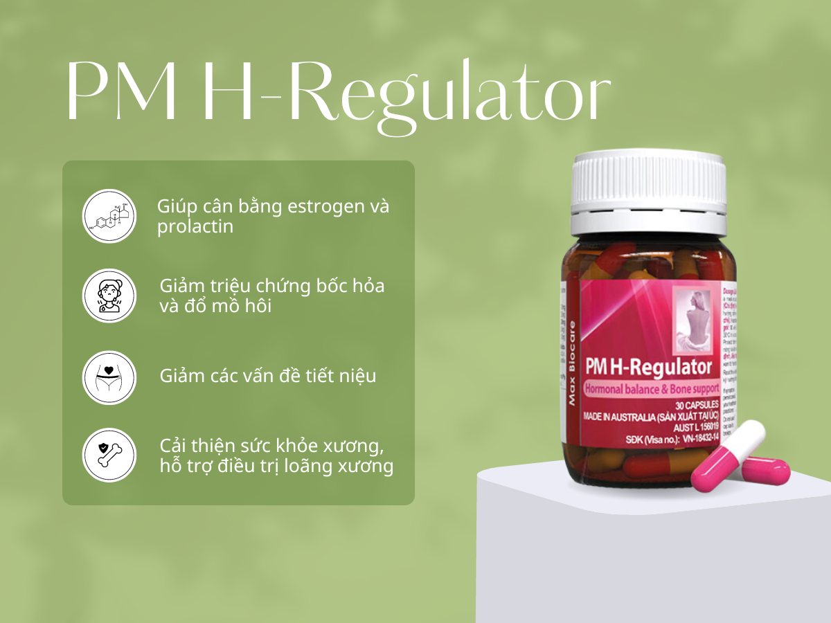 Thuốc PM H-Regulator