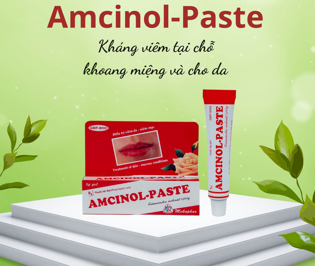 Amcinol-Paste 13 Amcinol-Paste