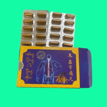 Đông Trùng Cốt Thống Hoàn