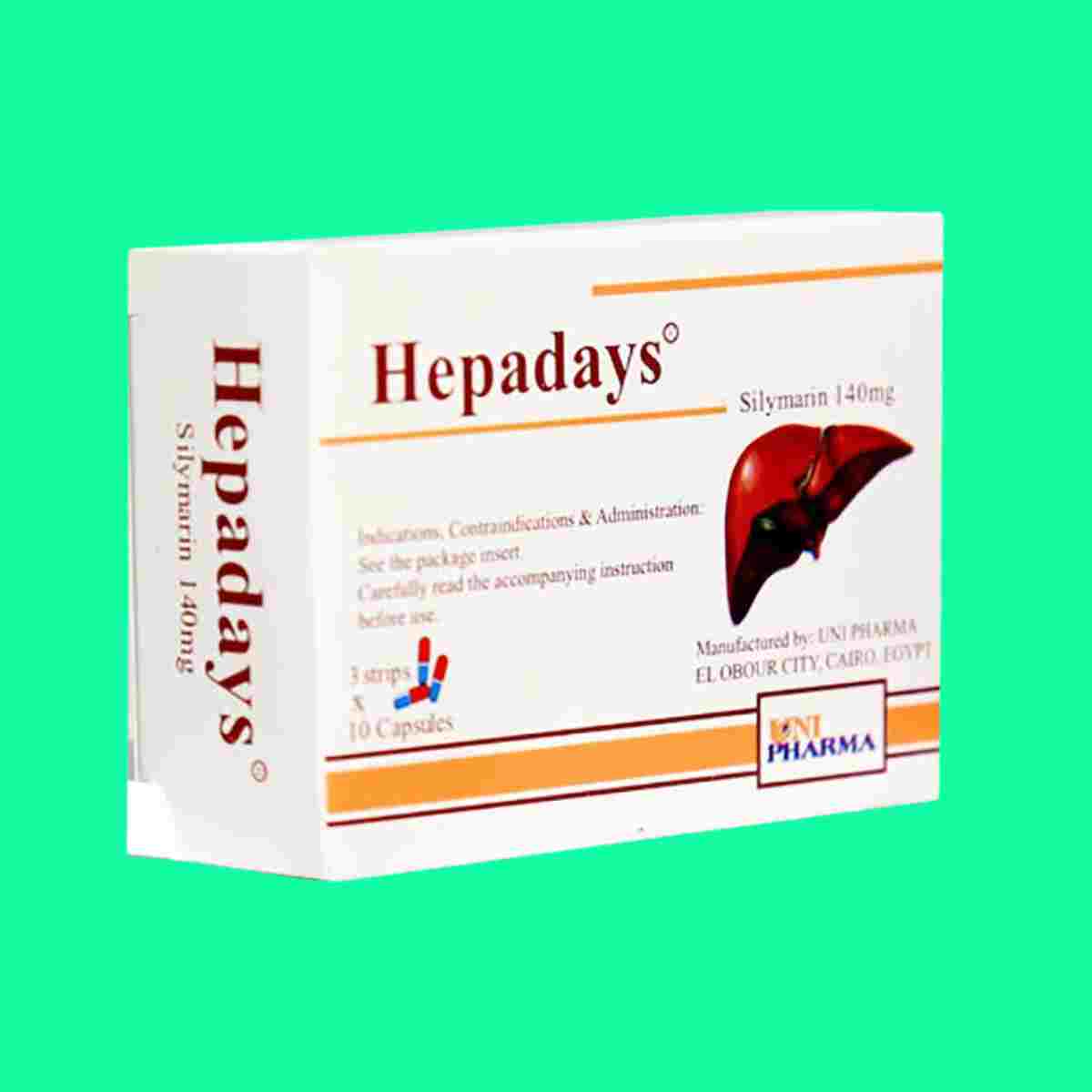 Hepadays-2 Hepadays