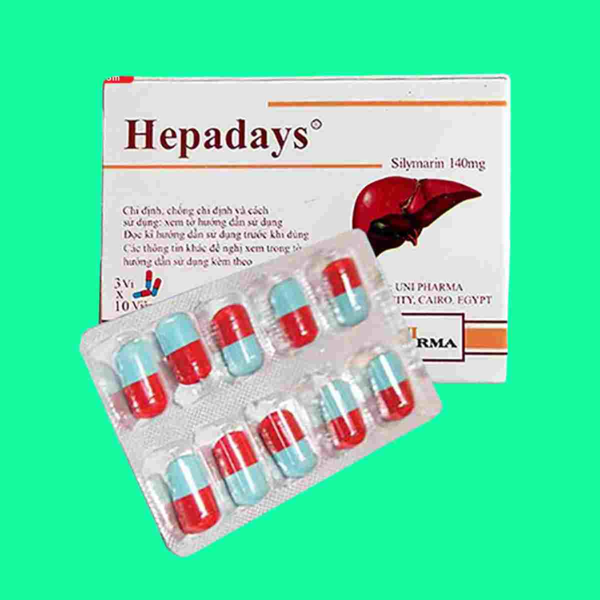 Hepadays-4 Hepadays