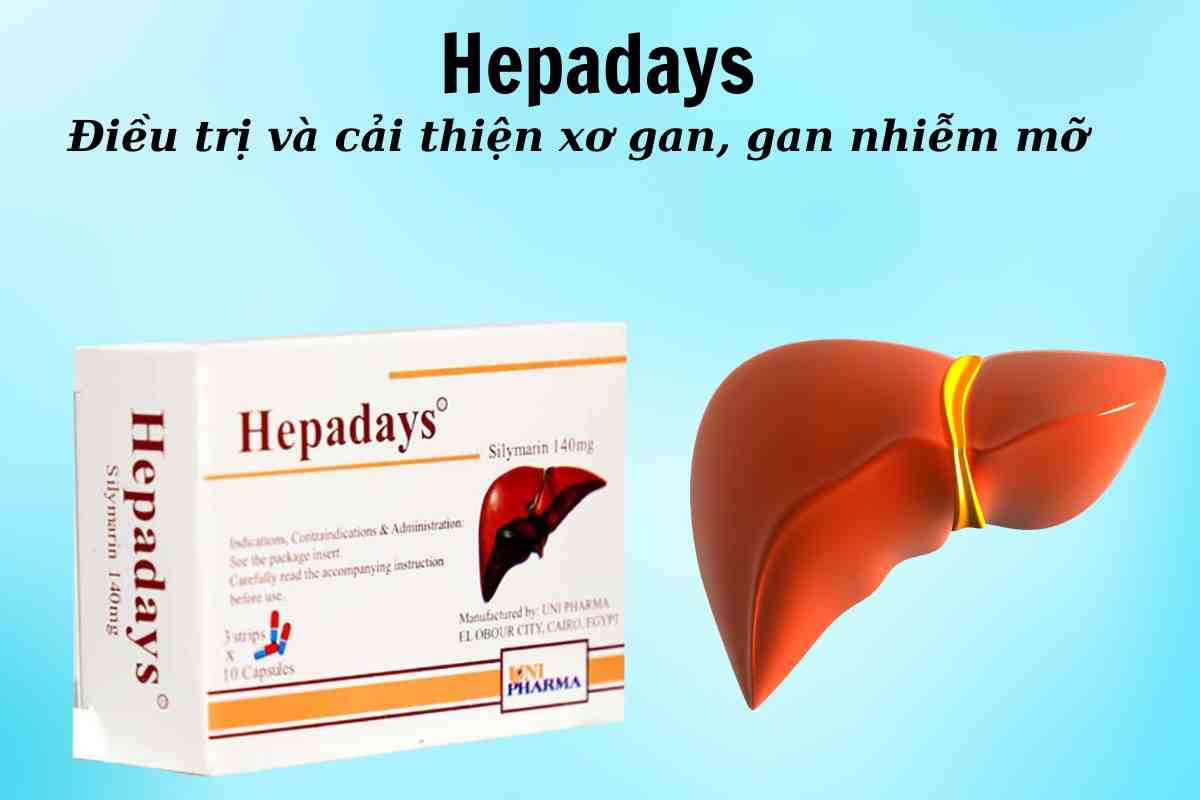 Hepadays 9 Hepadays