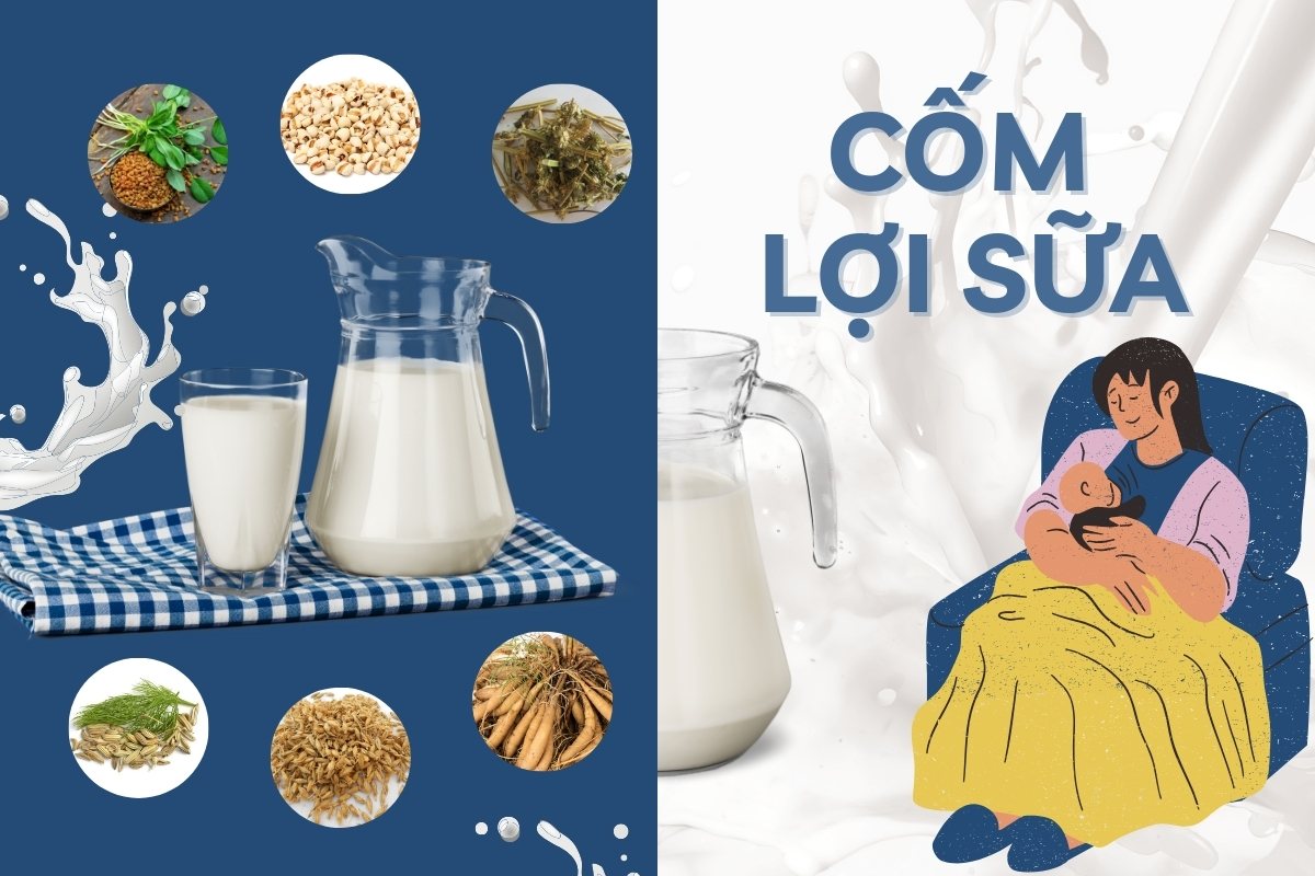 Top 10 sản phẩm cốm lợi sữa cho mẹ sau sinh được tin dùng hiện nay 16 Cốm lợi sữa