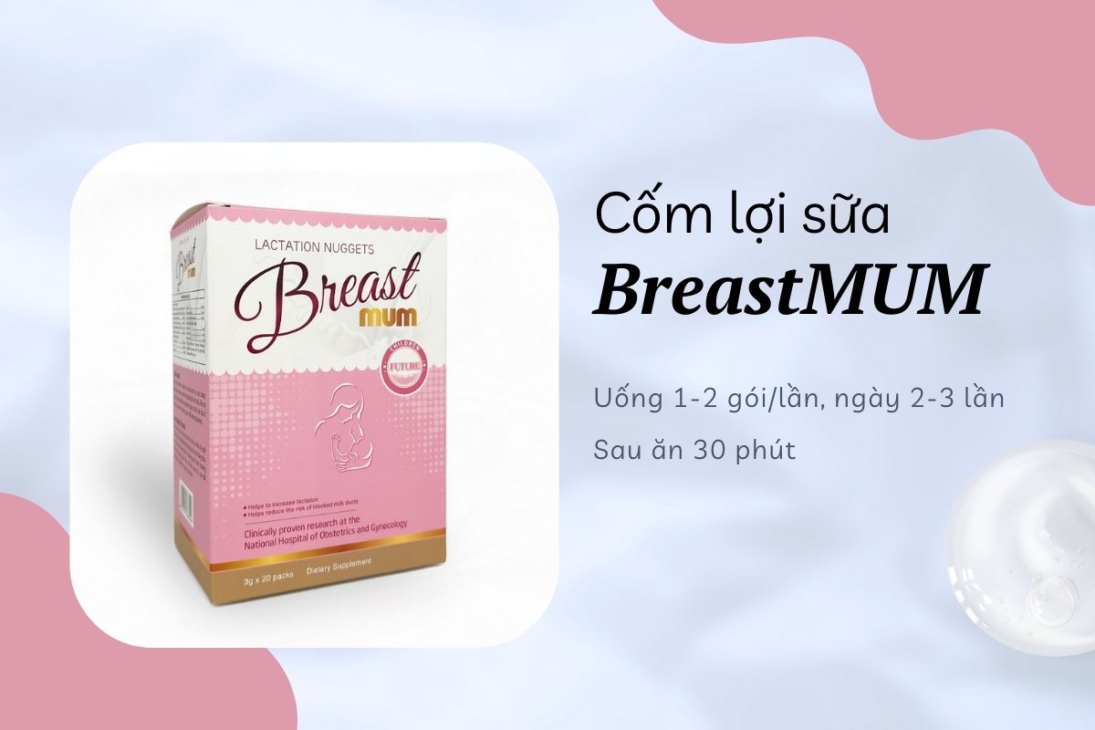 Top 10 sản phẩm cốm lợi sữa cho mẹ sau sinh được tin dùng hiện nay 27 Cốm lợi sữa BreastMUM