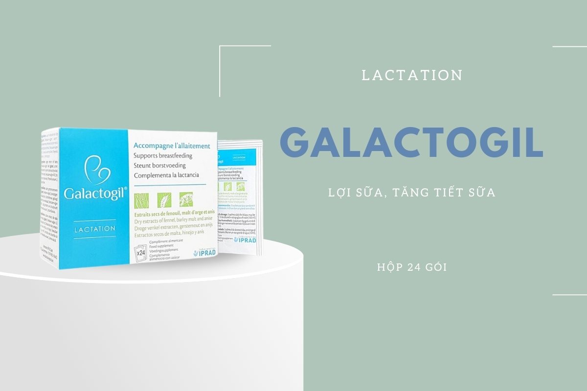 Top 10 sản phẩm cốm lợi sữa cho mẹ sau sinh được tin dùng hiện nay 21 Cốm lợi sữa Galactogil Lactation
