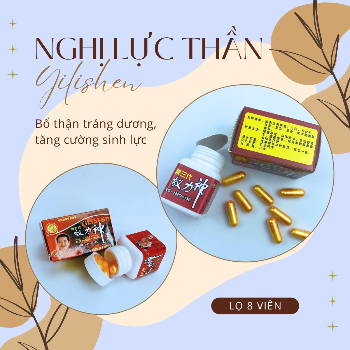 Nghị Lực Thần Yilishen 13 Nghị Lực Thần Yilishen