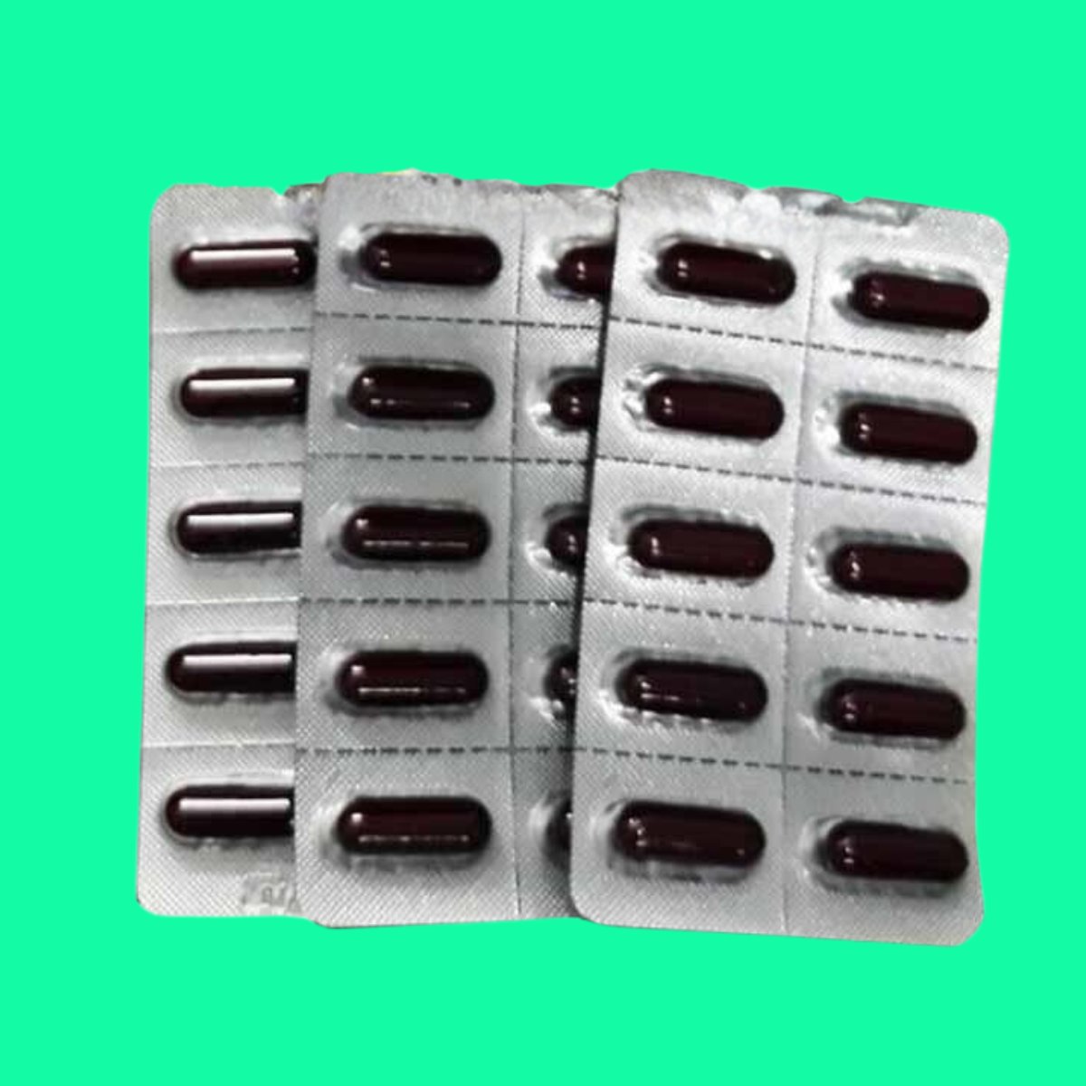 thuoc-Doc-Hoat-Tang-Ky-Sinh-TW3-5 Độc Hoạt Tang Ký Sinh TW3