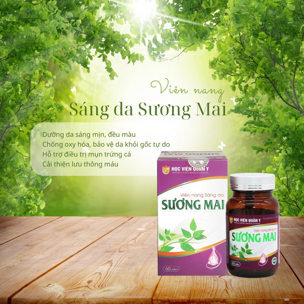 Viên nang Sáng da Sương Mai HVQY 13 Viên nang Sáng da Sương Mai HVQY