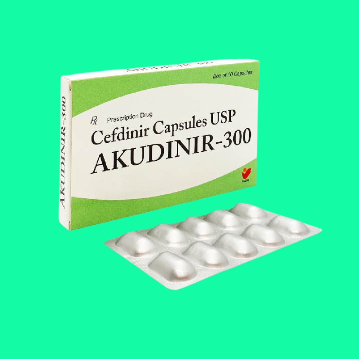 Akudinir-300-1 Akudinir-300