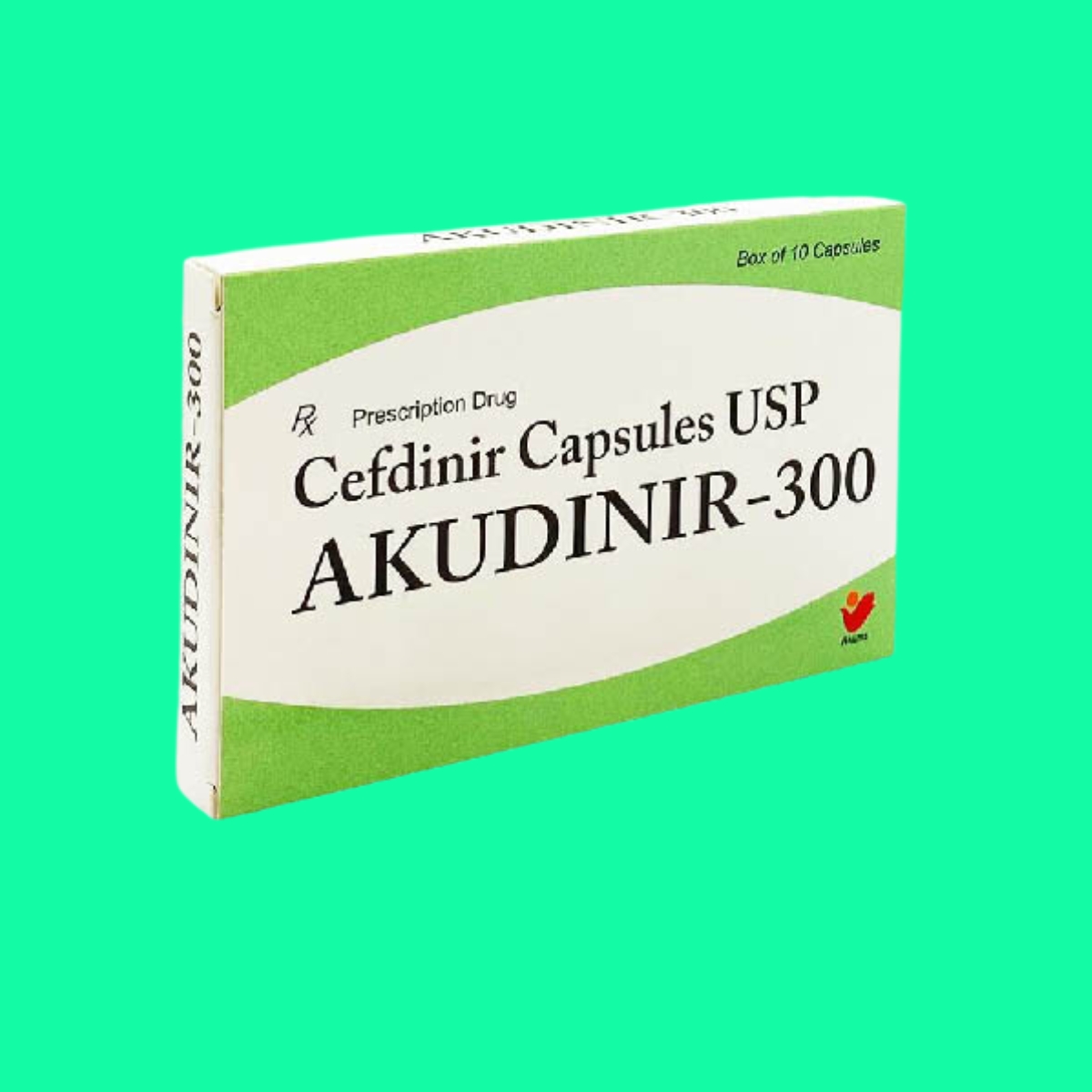 Akudinir-300-2 Akudinir-300