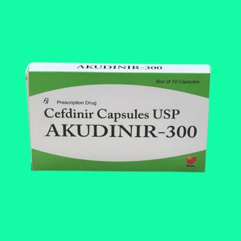 Akudinir-300 3 Akudinir-300