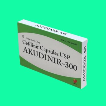 Akudinir-300 4 Akudinir-300