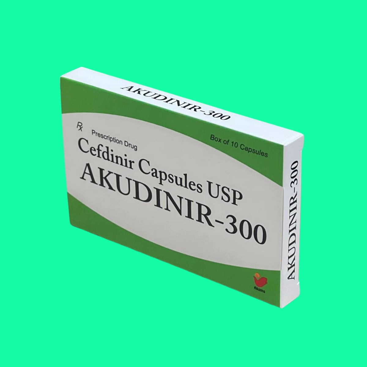 Akudinir-300-4 Akudinir-300