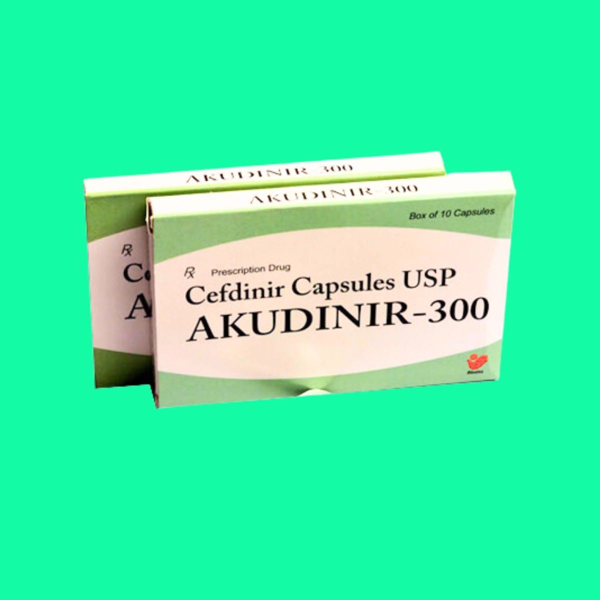 Akudinir-300-5 Akudinir-300