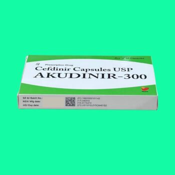 Akudinir-300 6 Akudinir-300