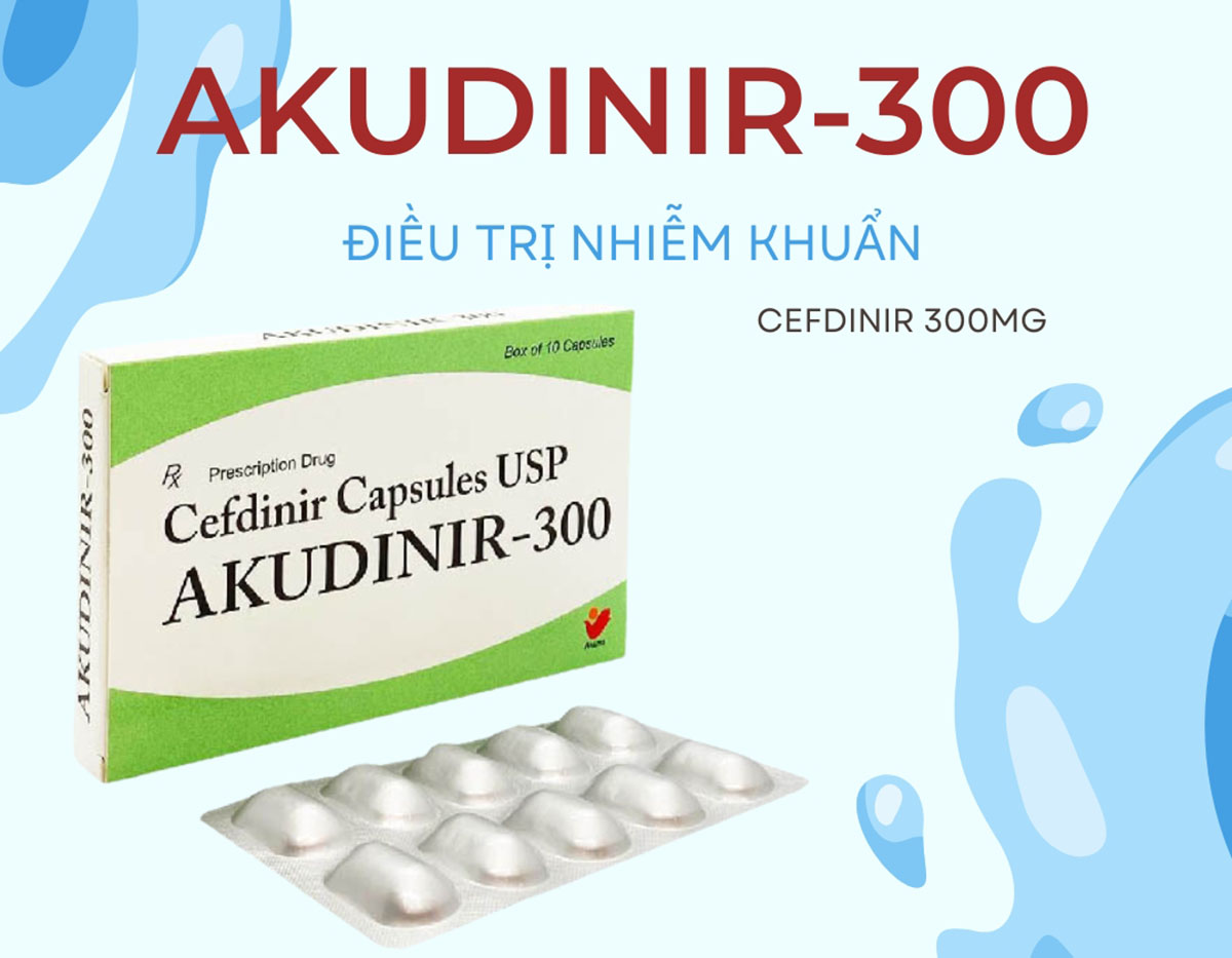 Akudinir-300 12 Akudinir-300