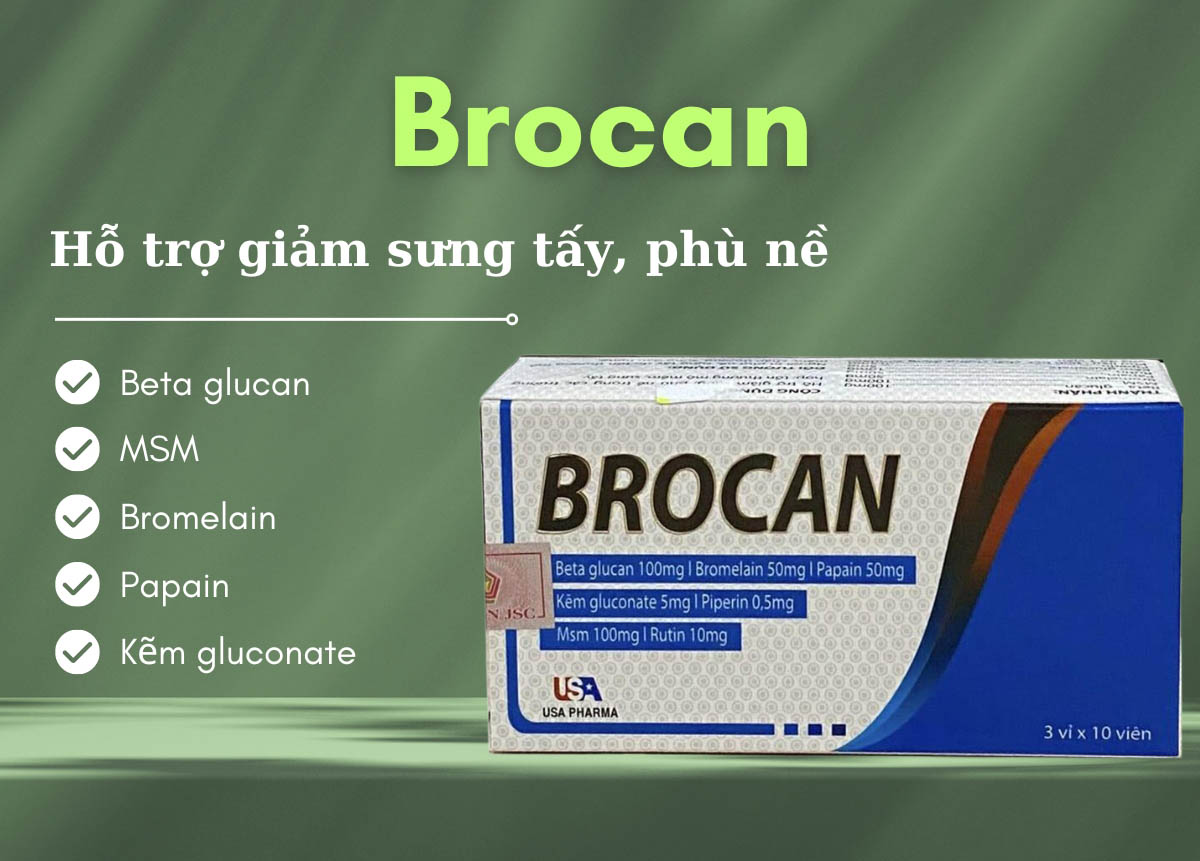 Brocan 12 Brocan