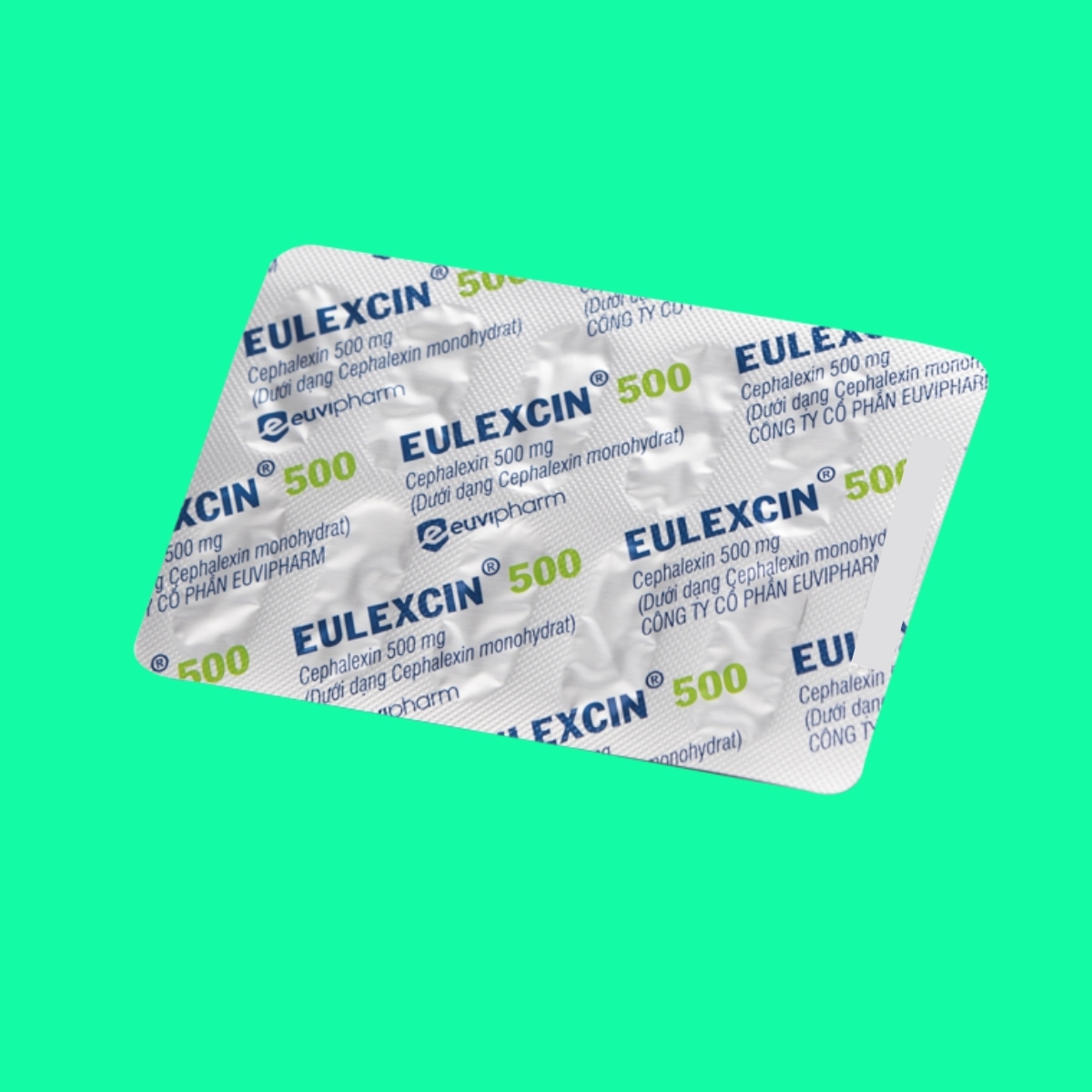 Eulexcin-500-8 Eulexcin 500