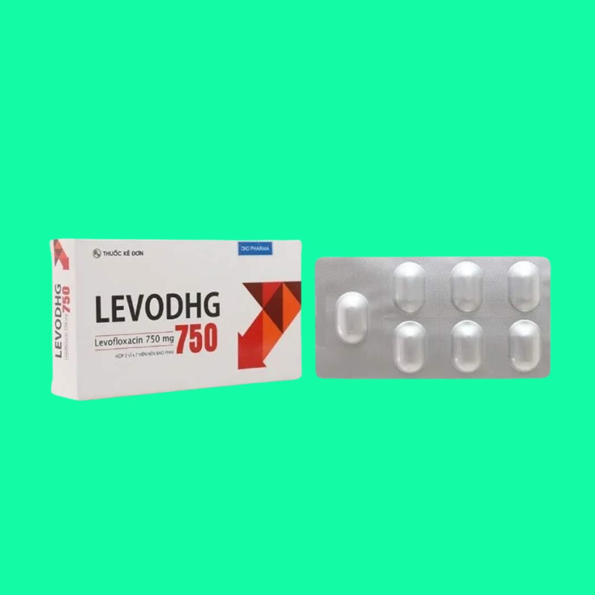 LevoDHG 750 (10) LevoDHG 750
