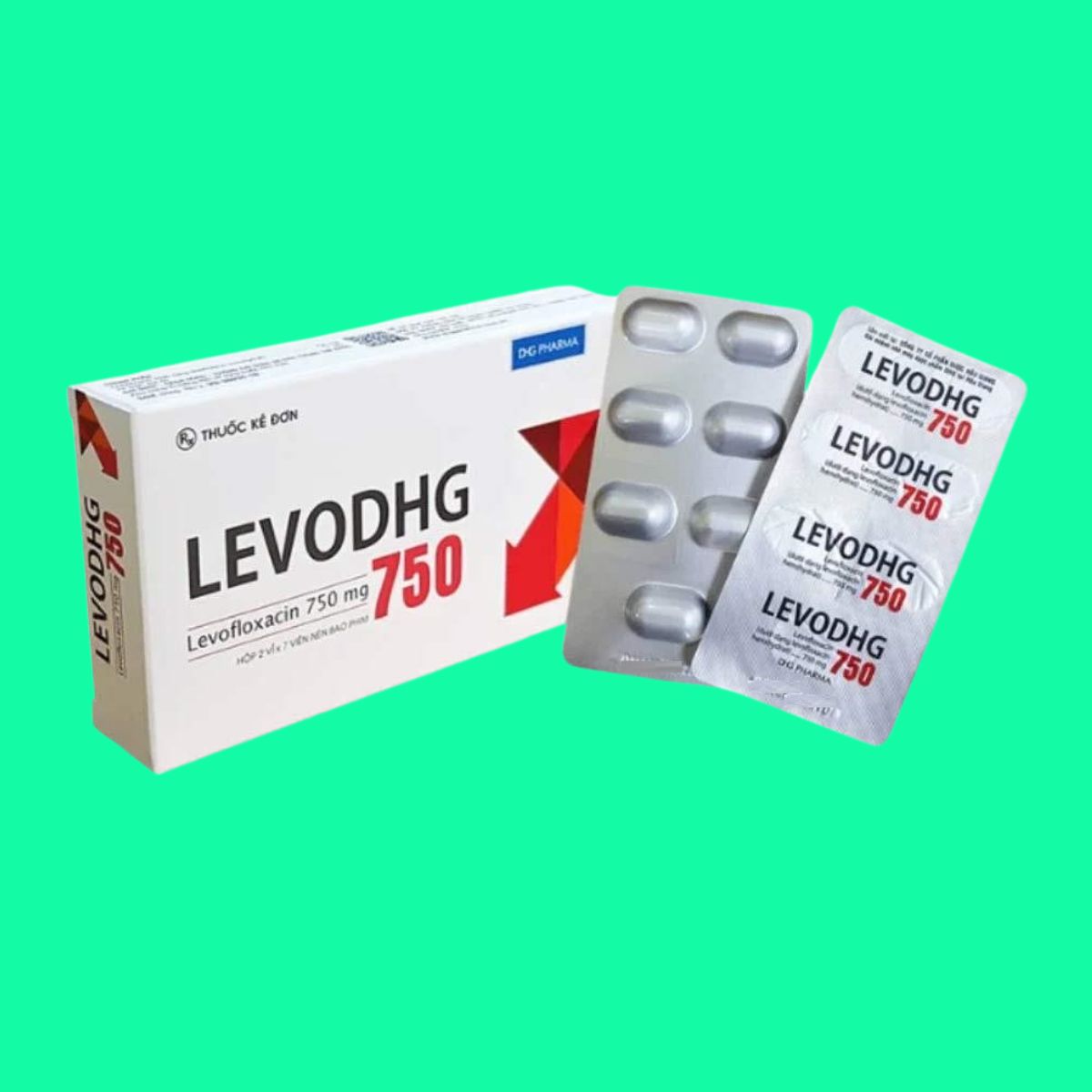 LevoDHG 750 (8) LevoDHG 750
