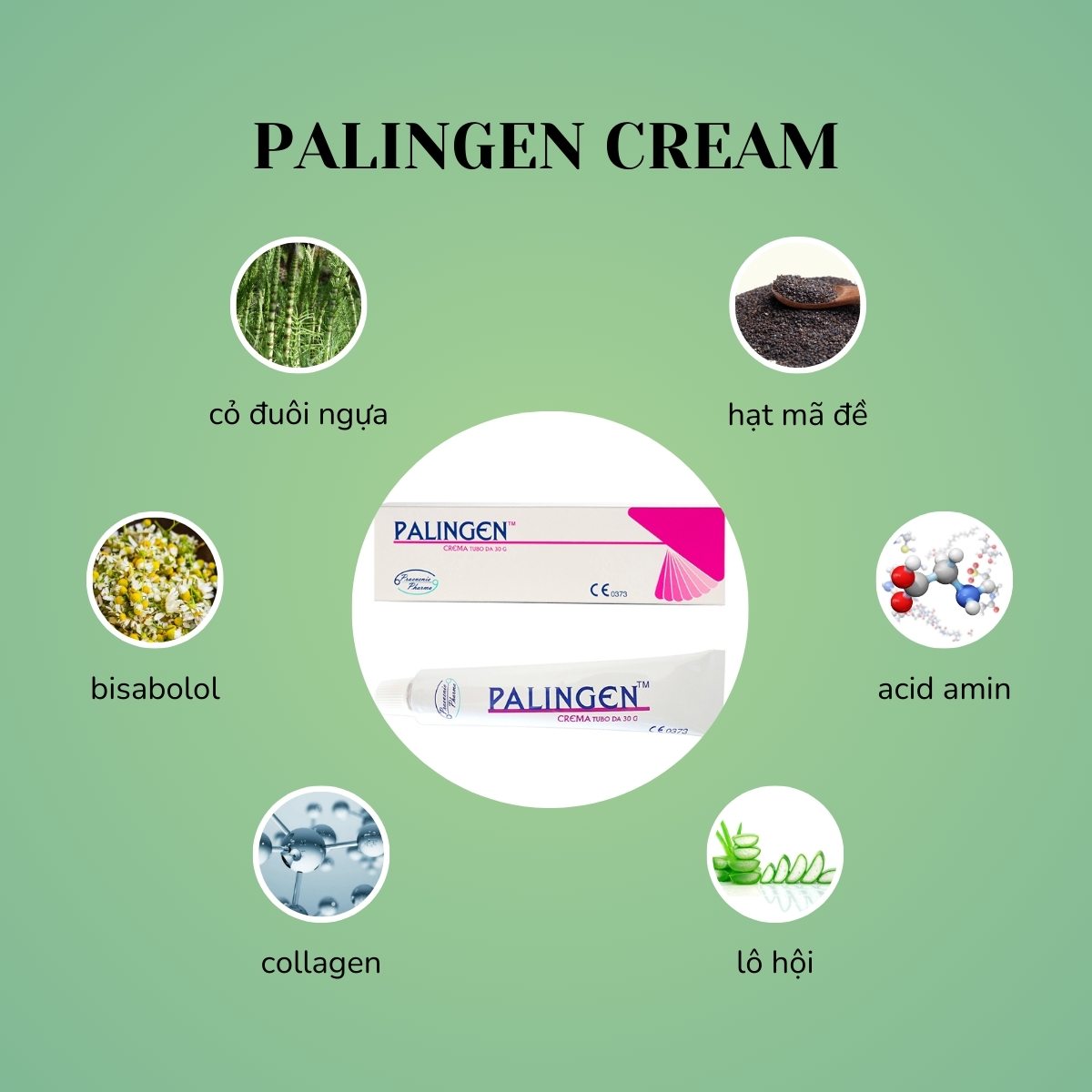 Palingen Cream 30g