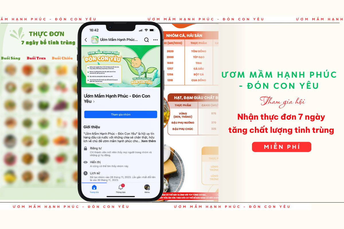 Thực đơn bổ tinh trùng