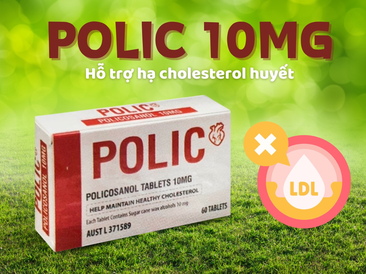 Polic 10mg 5 Polic 10mg hỗ trợ hạ cholesterol huyết