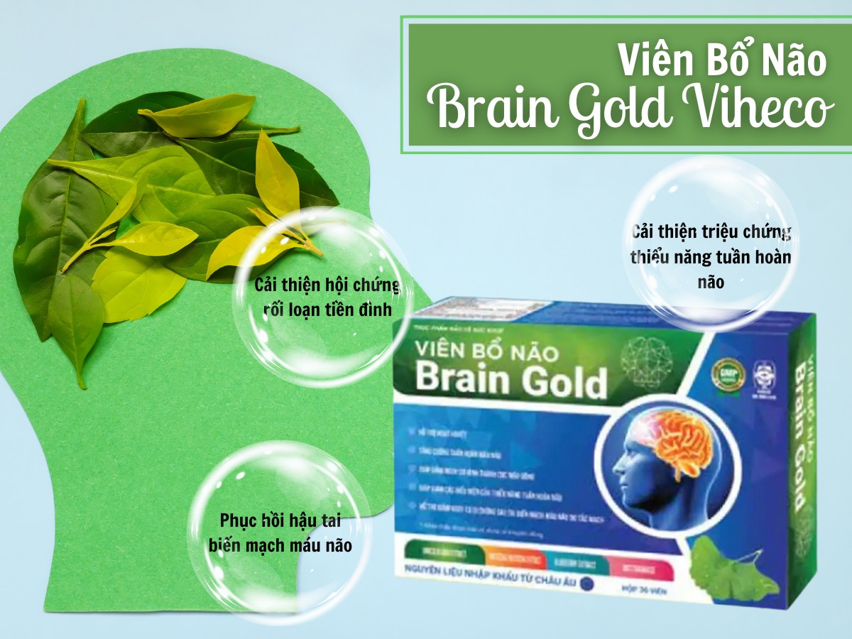 Viên Bổ Não Brain Gold Viheco 5 Viên Bổ Não Brain Gold Viheco cải thiện hội chứng thiểu năng tuần hoàn não