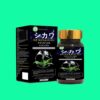 Shikawa 7 Shikawa
