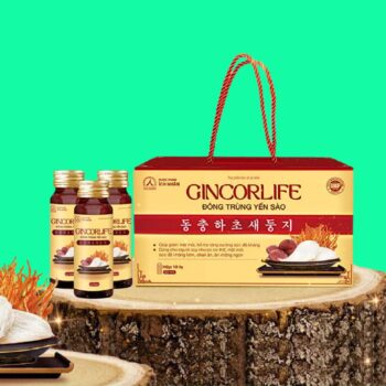Gincorlife Đông trùng Yến sào 3 Gincorlife Đông trùng Yến sào