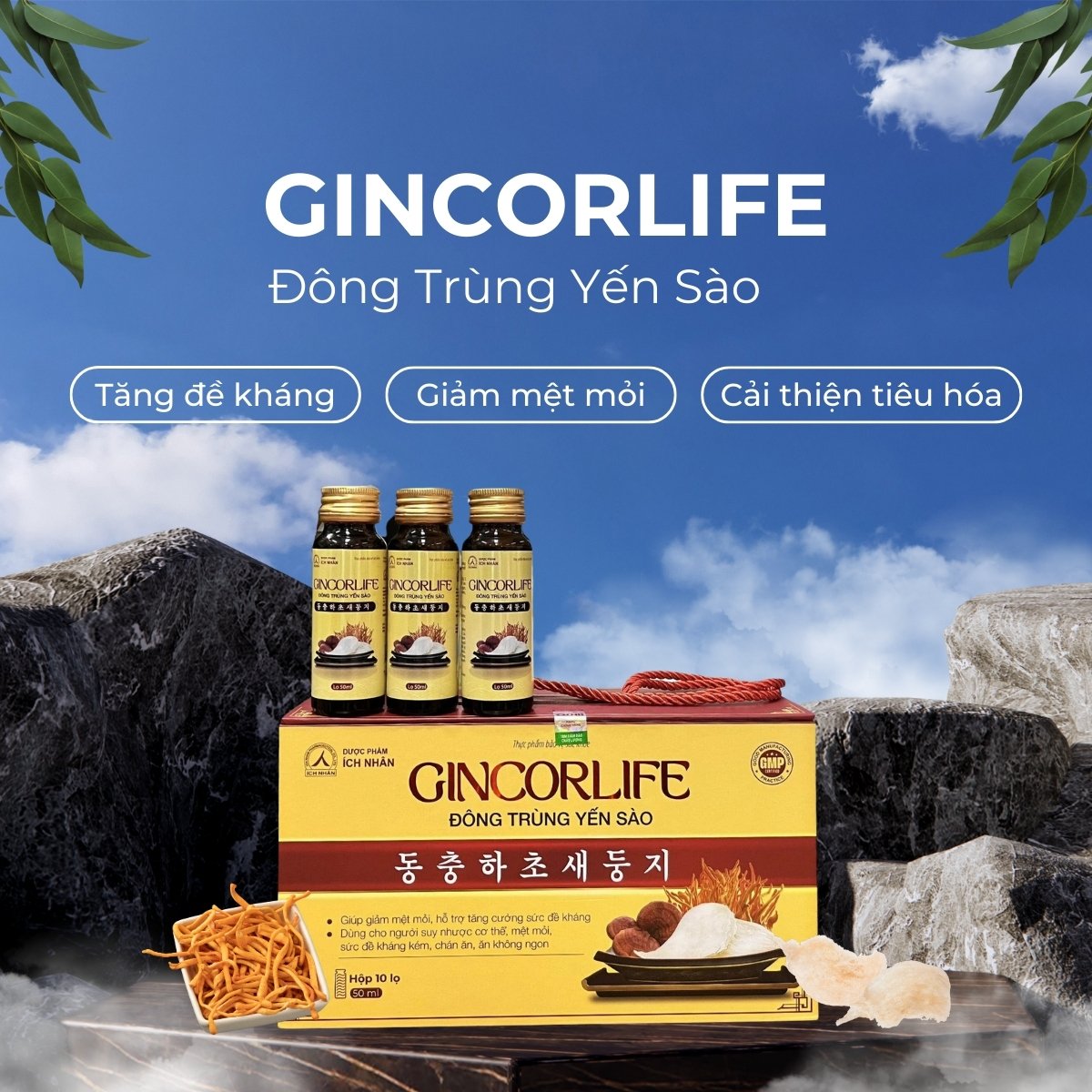 Gincorlife Đông trùng Yến sào 7 Gincorlife Đông trùng Yến sào