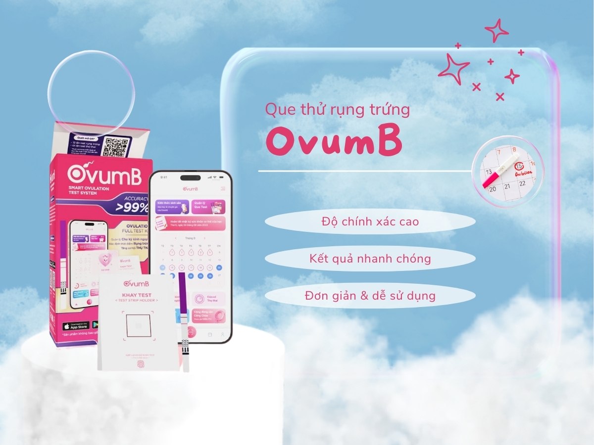 Que thử rụng trứng OvumB 7 Que thử rụng trứng OvumB