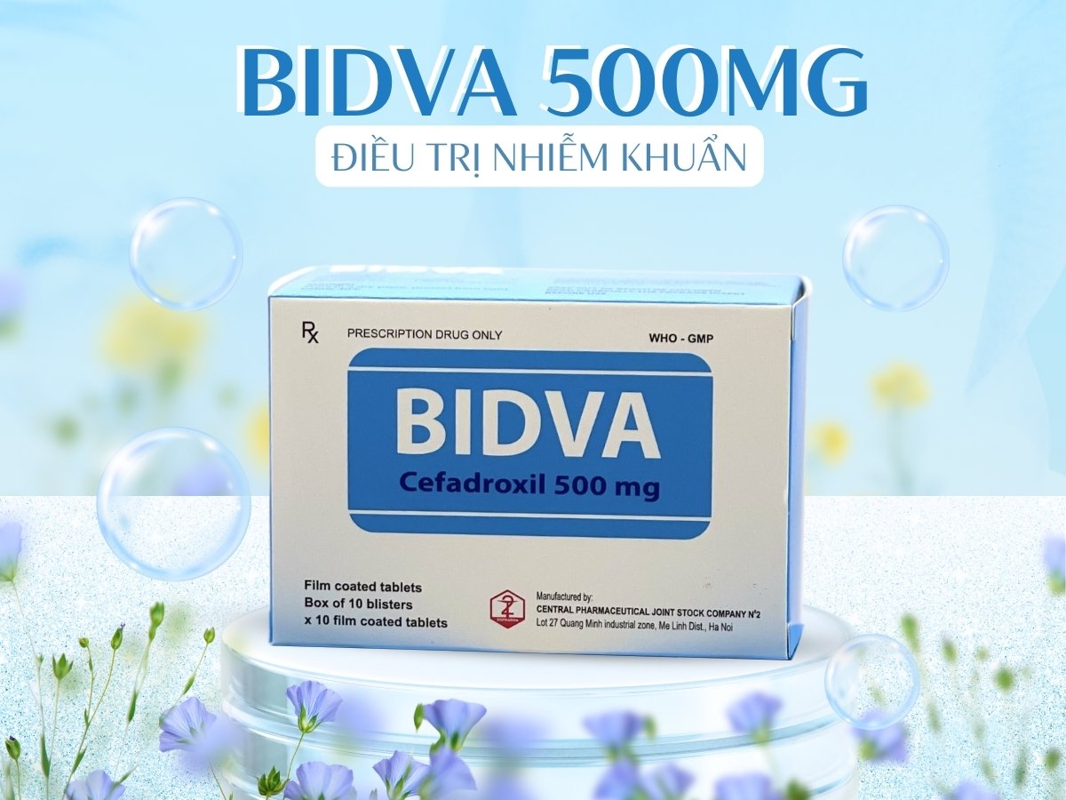 Bidva 500mg 7 Thuốc Bidva 500mg điều trị bệnh do nhiễm khuẩn